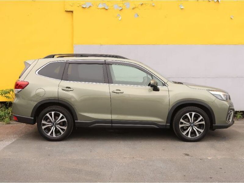 FORESTER