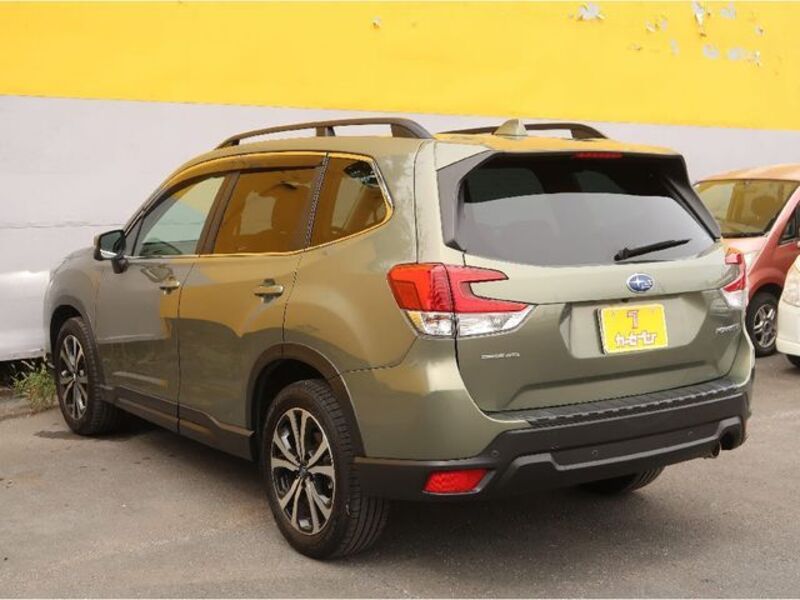 FORESTER