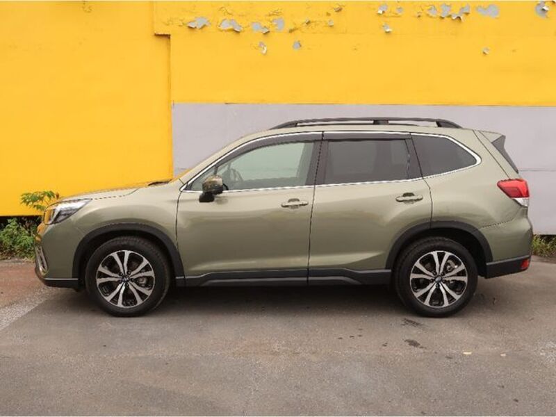 FORESTER