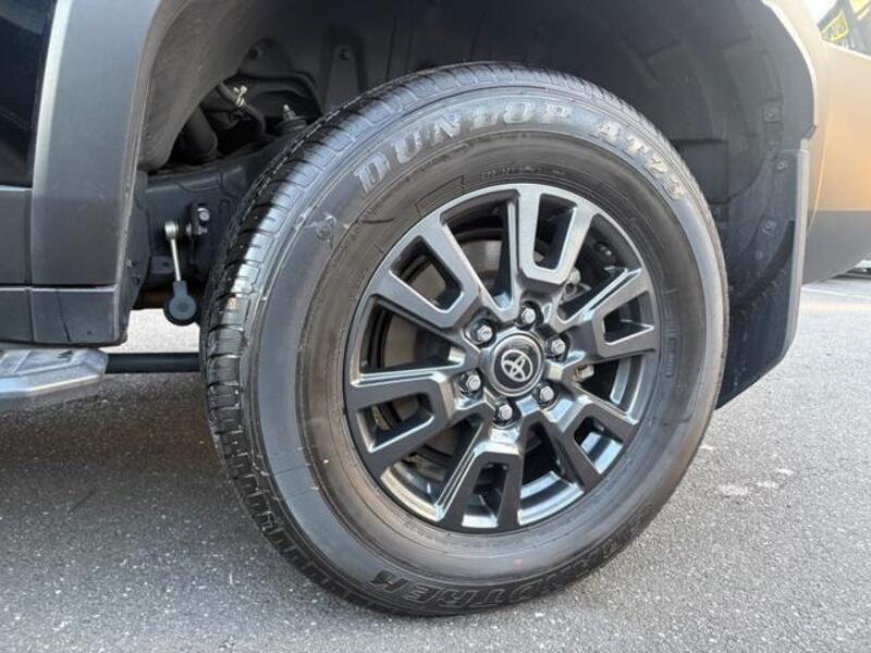 LAND CRUISER 250
