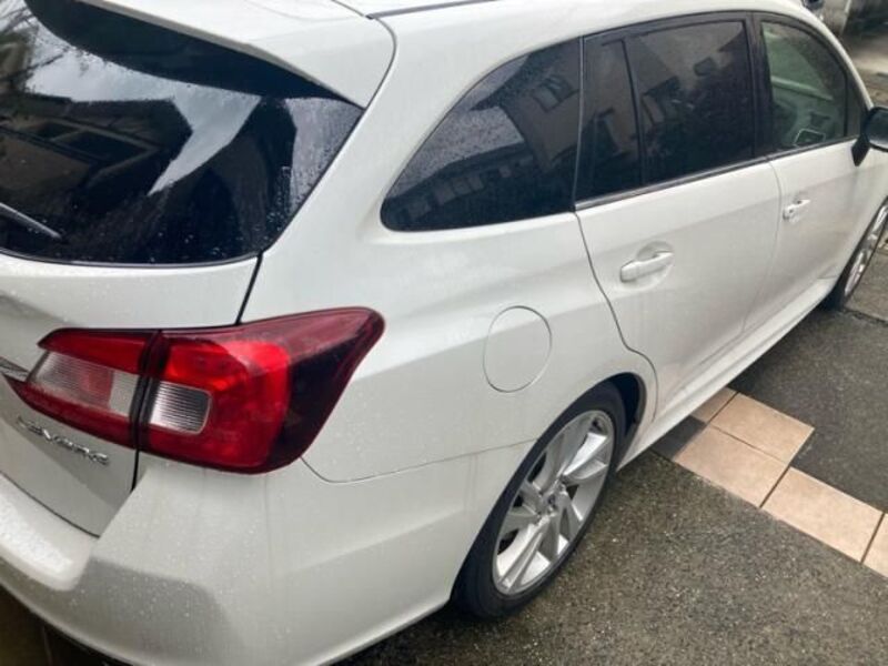 LEVORG
