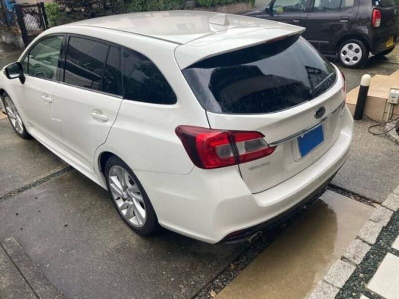 LEVORG