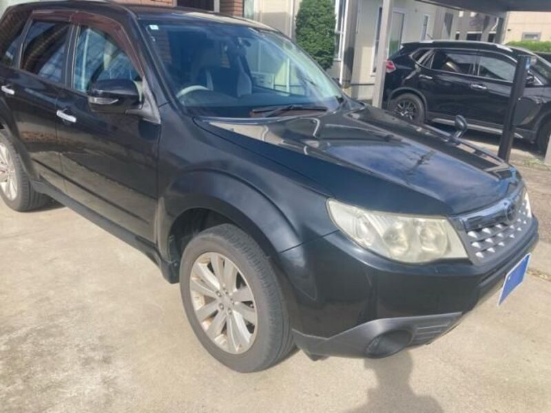 FORESTER