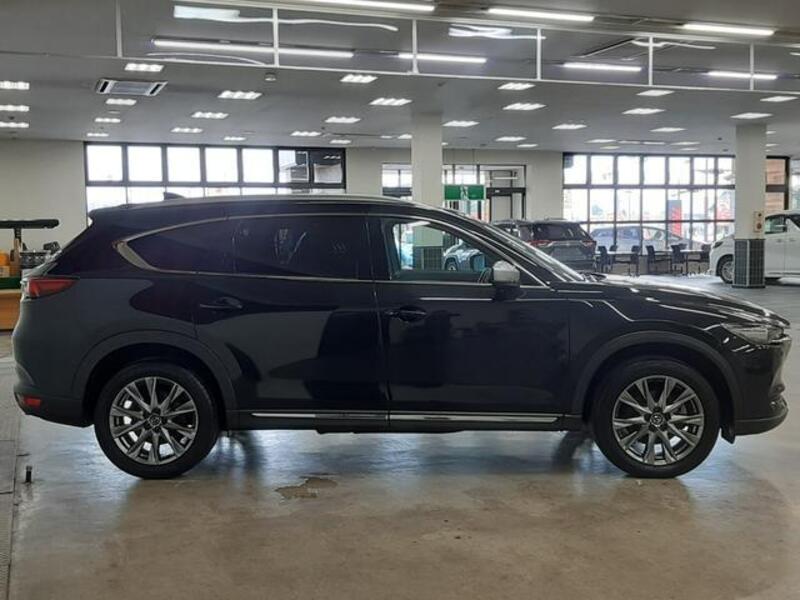CX-8