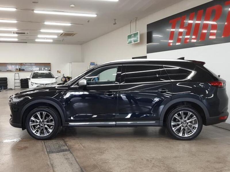 CX-8