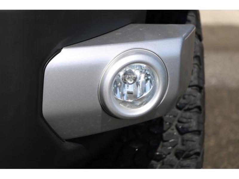 FJ CRUISER