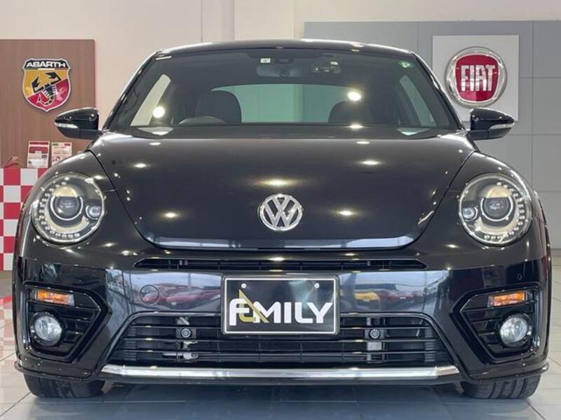 THE BEETLE