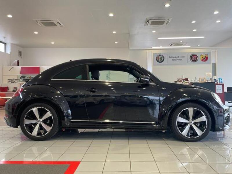 THE BEETLE
