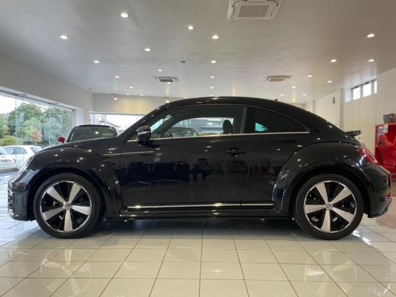 THE BEETLE