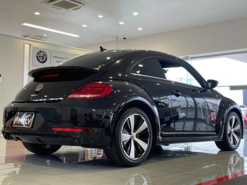 THE BEETLE