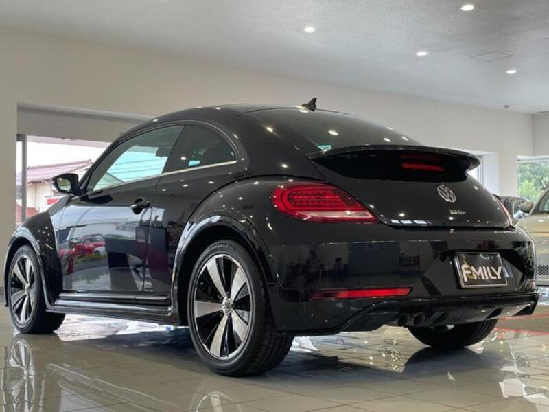 THE BEETLE