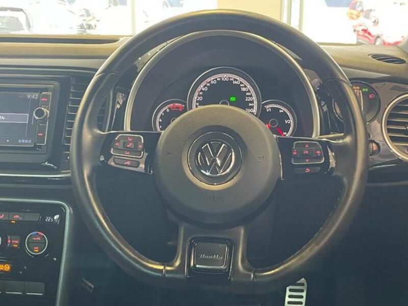 THE BEETLE