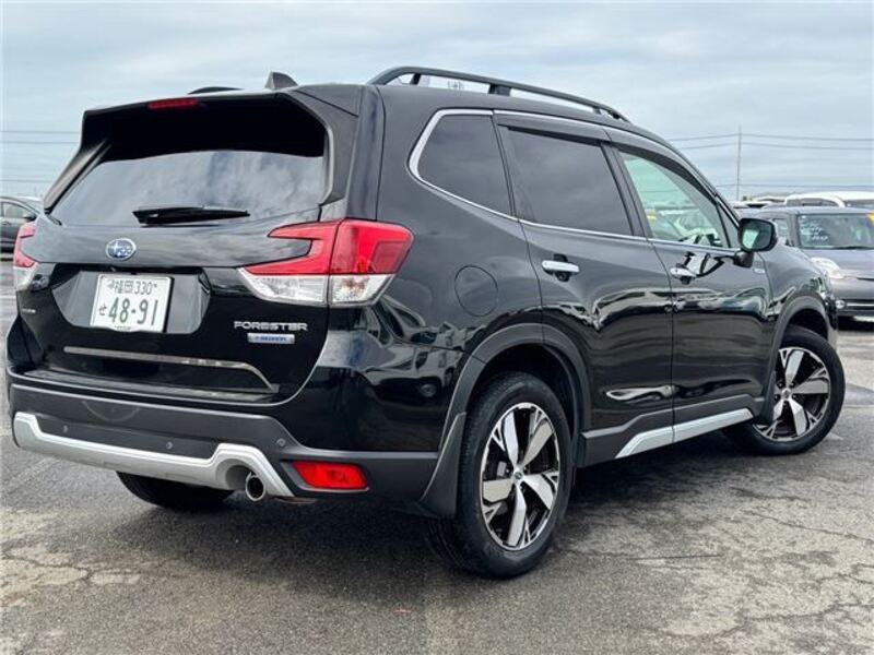 FORESTER
