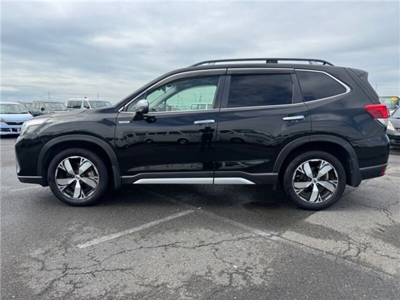 FORESTER