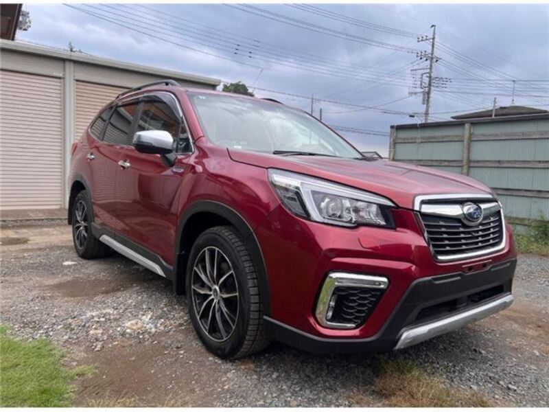 FORESTER-0