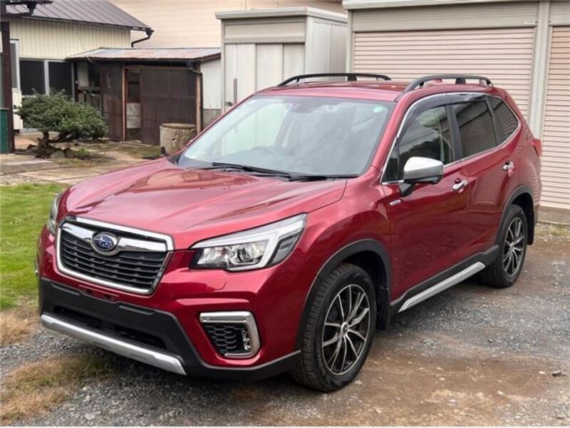 FORESTER