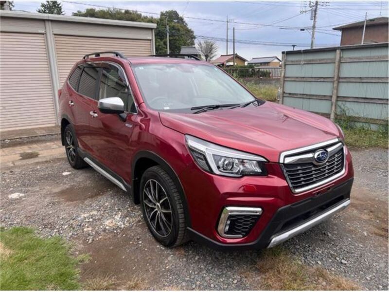 FORESTER