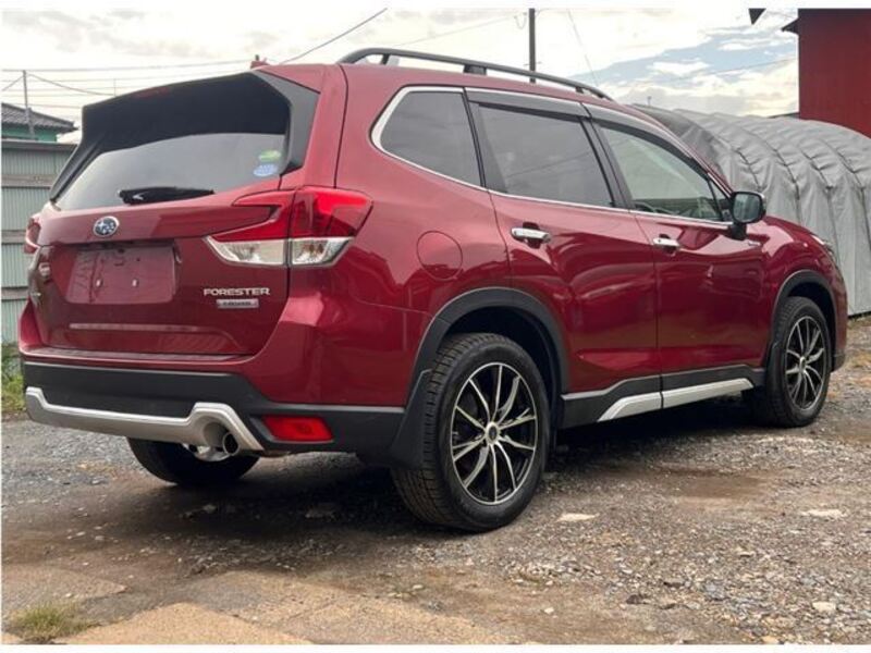 FORESTER