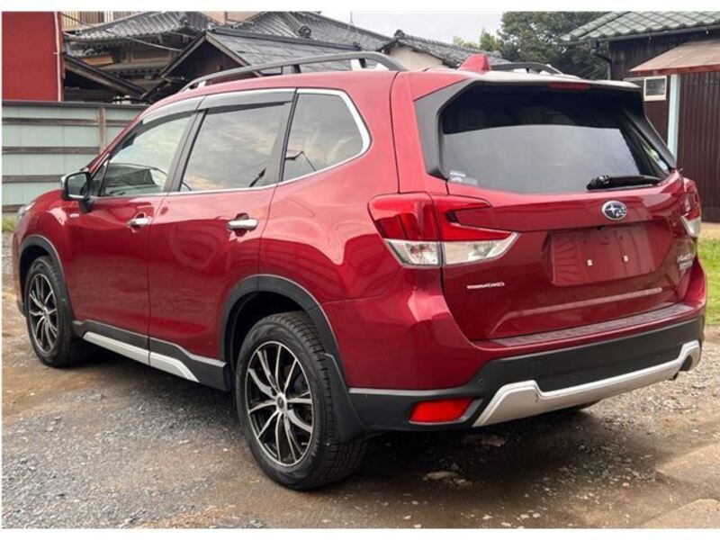 FORESTER