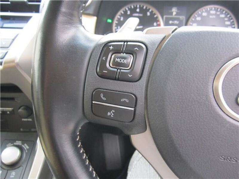 NX