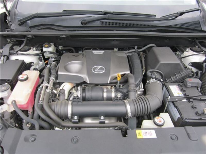 NX