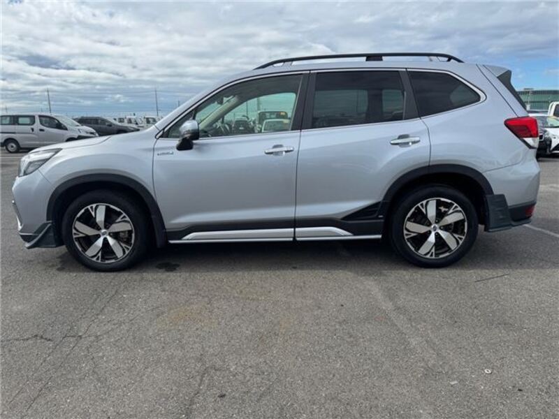 FORESTER