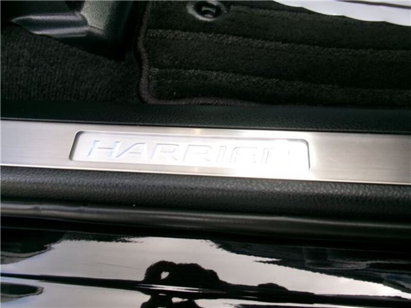 HARRIER