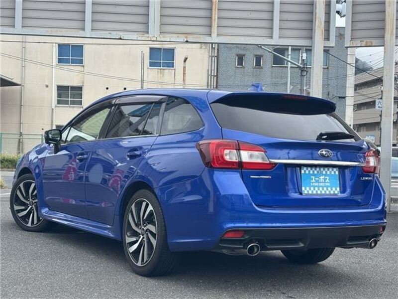 LEVORG