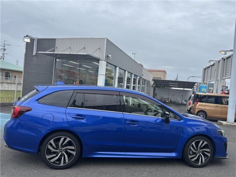 LEVORG