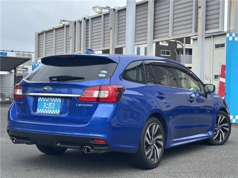 LEVORG
