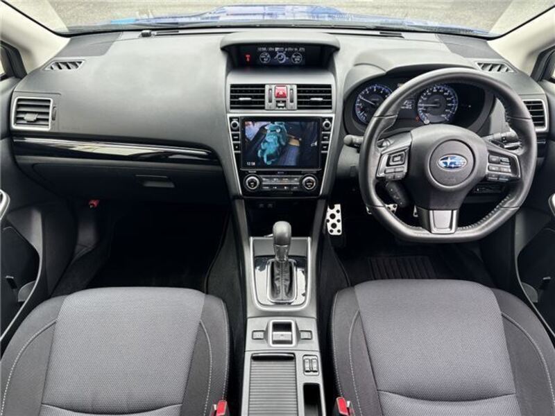 LEVORG