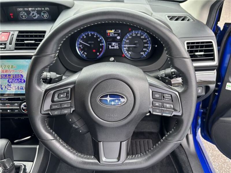 LEVORG