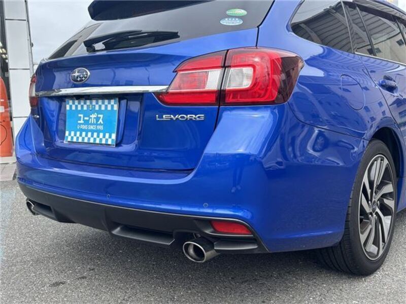 LEVORG