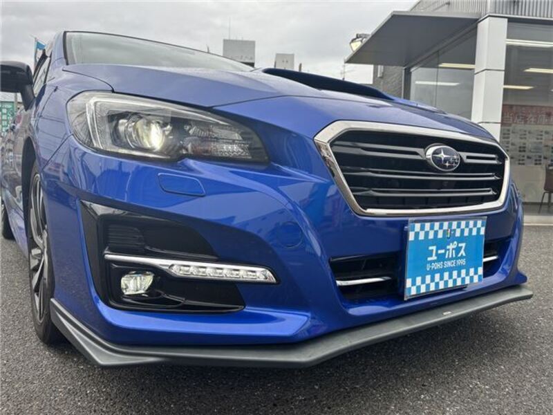 LEVORG