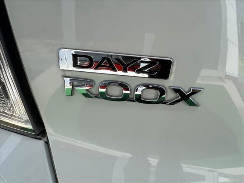 DAYZ ROOX