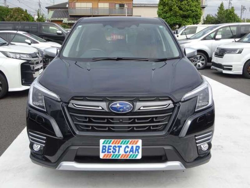 FORESTER