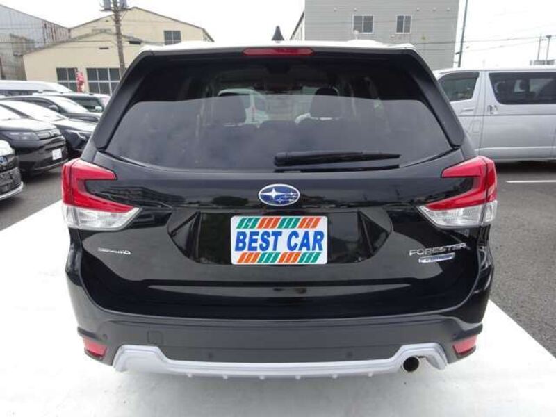 FORESTER