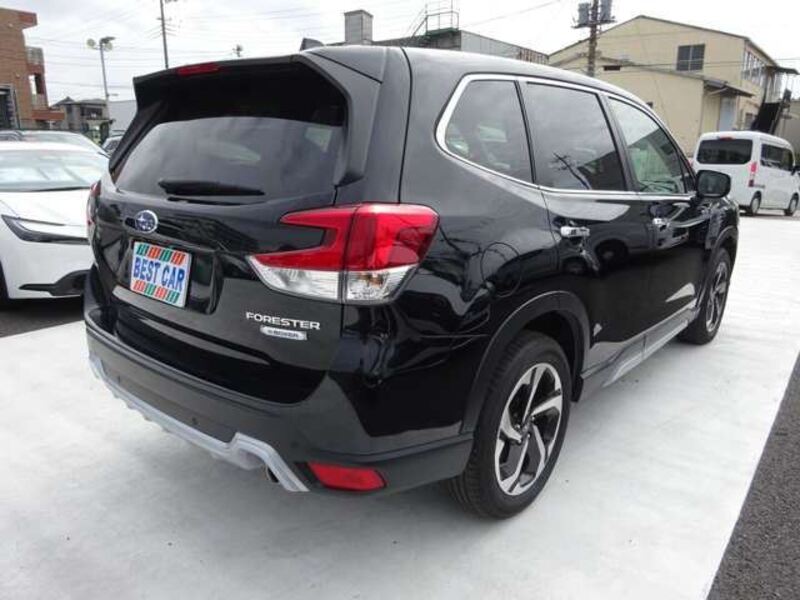 FORESTER
