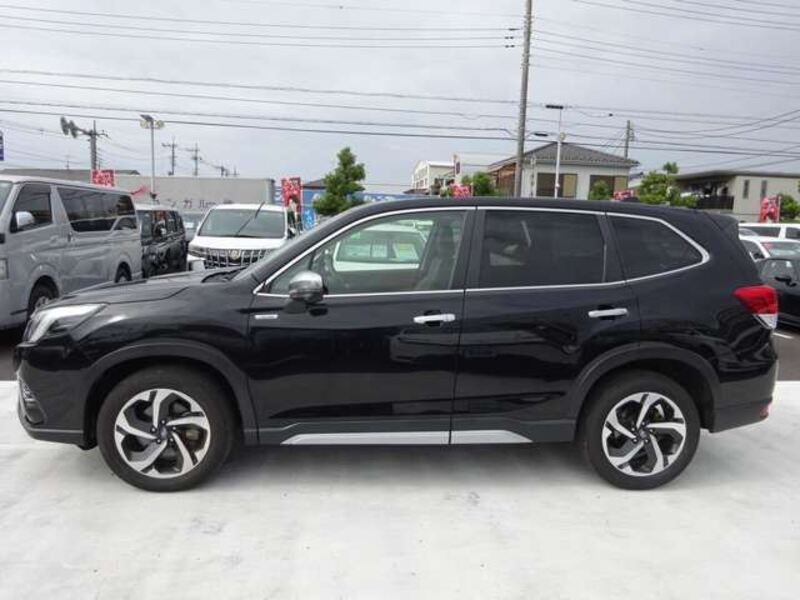 FORESTER