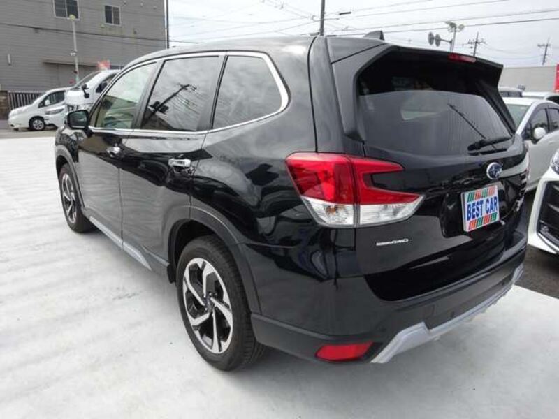 FORESTER