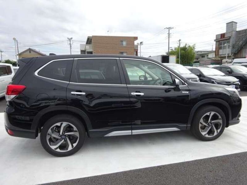 FORESTER
