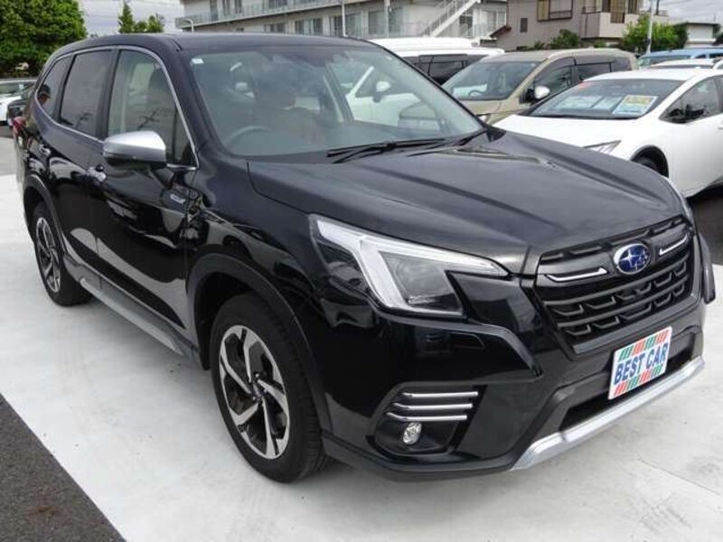 FORESTER