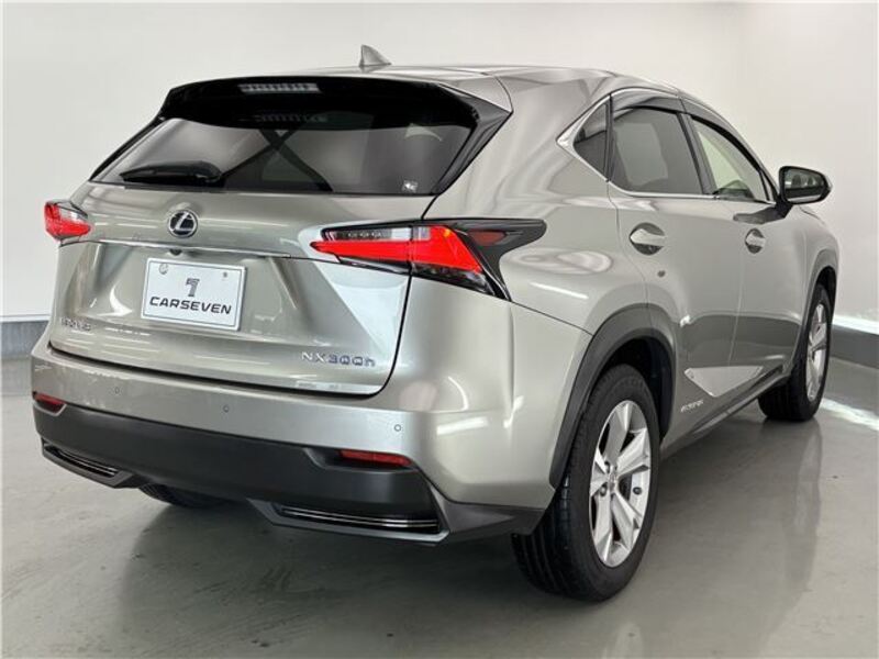 NX