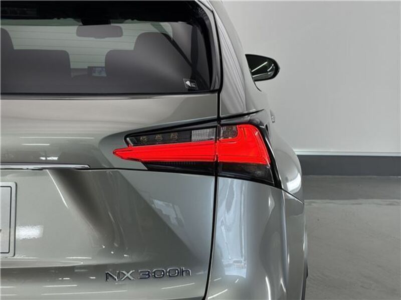 NX