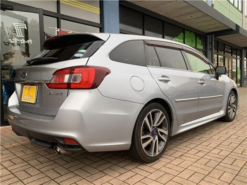 LEVORG