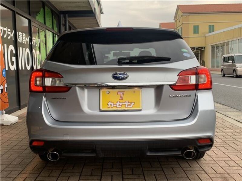 LEVORG