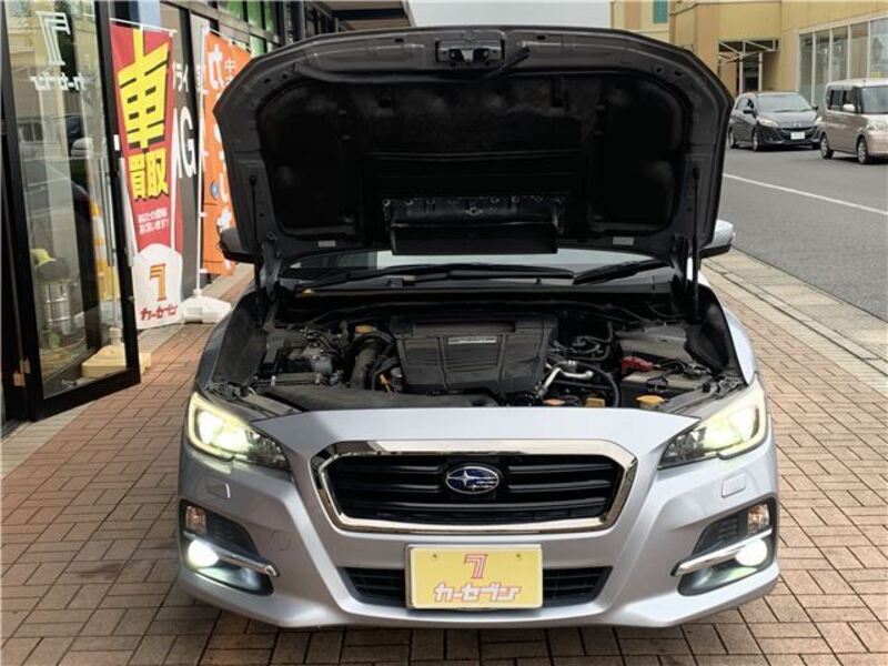 LEVORG