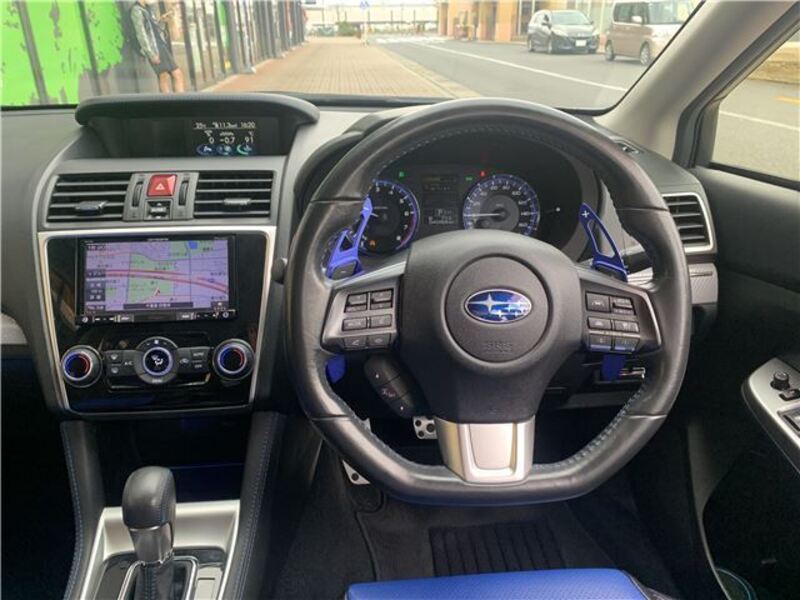 LEVORG