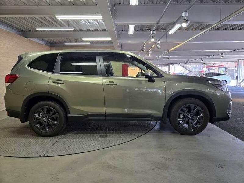 FORESTER