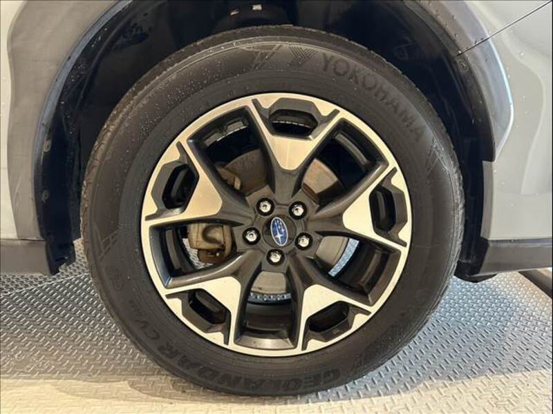 XV